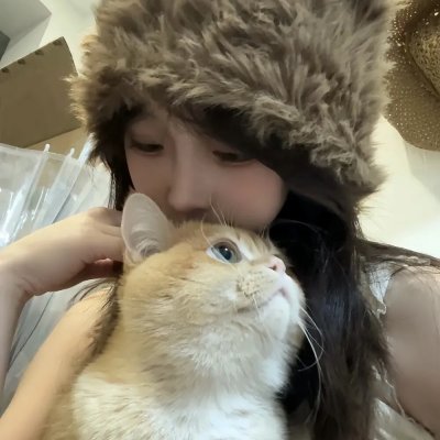 哈利玛之路