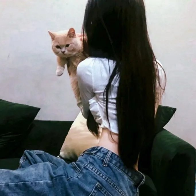 三个女人一个「因」粤语